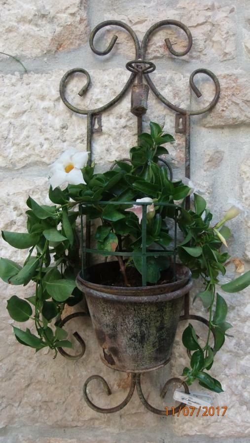 Apartment Marta Korčula Dış mekan fotoğraf